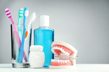 Teeth model with toothbrushes in glass and mouthwash bottle on grey background
