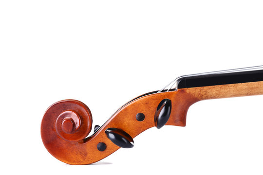 Violin head on white background