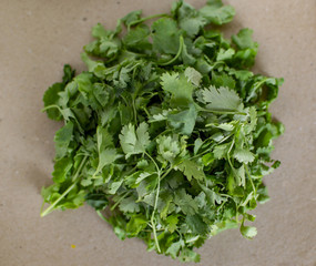 Heap of coriander leaves of green texture