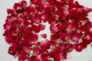 Bed of rose petals and decorated
