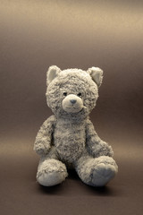 Cute teddy bear soft toy on background with copy space