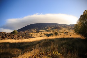 Paesaggio  e flora estiva sul Vulcano Etna in Sicilia e nube che ricopre il cratere 