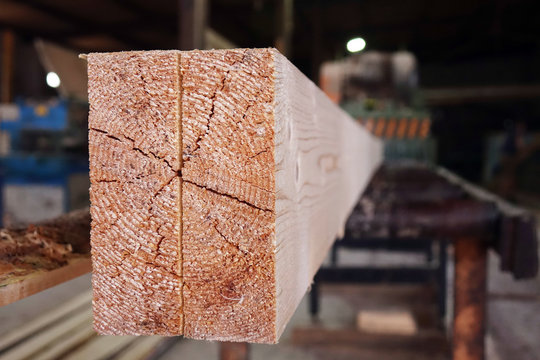 Plant for the production of wood boards. Pilorama. The concept of production, manufacturing and woodworking.