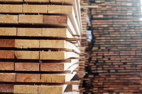 Plant for the production of wood boards. Pilorama. The concept of production, manufacturing and woodworking.
