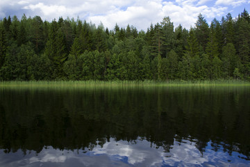 Fir trees reflected in a forest lake. Centered.