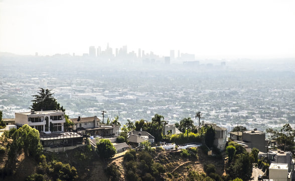 Hollywood hills view 