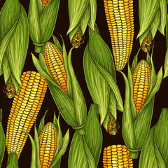 Vector hand-drawn seamless pattern with corn cobs. Natural vegetables background for textiles, banner, wrapping paper and other and designs. Vector illustration.