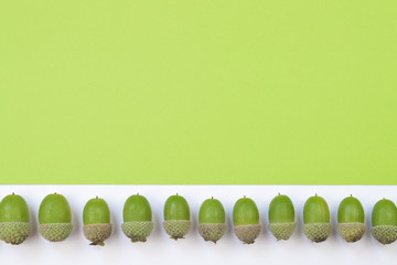 green acorns in a row on green and white background with copy space above © what4ever