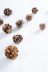 Fototapeta na wymiar pine cones on white wood table, purity Christmas decoration