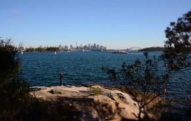 View of Sydney skyline and Sydney Harbour from Nielsen Park.