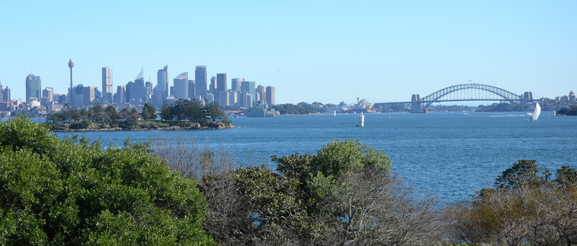 View of Sydney skyline and Sydney Harbour from Nielsen Park.