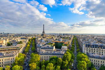 Beautiful view of Paris from the roof of the Triumphal Arch. Champs Elysees and the Eiffel Tower - obrazy, fototapety, plakaty