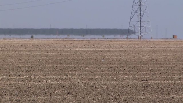 Long shot of tred soil in dry regions of California.