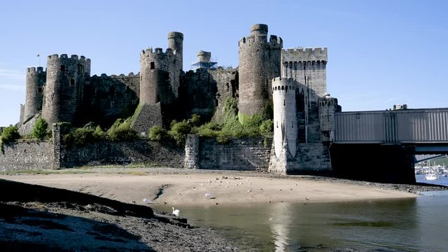 Sea birds on shore of River Conwy near the historic ruins of the Conwy Castle,  a medieval fortification in Conwy, a walled market town on the north coast of Wales.
