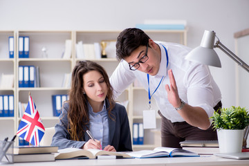 Obraz premium Teacher explaining to student at language training