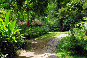 Forest cottage in Minca, Colombia, South America