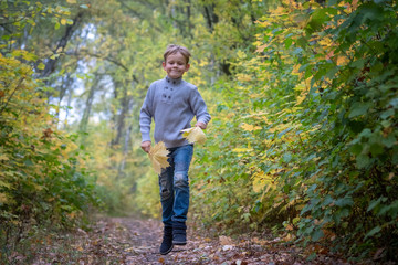 Naklejka na ściany i meble happy European boy runs and jumps on the path in autumn Park