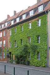 Green Plants Facade House © markobe