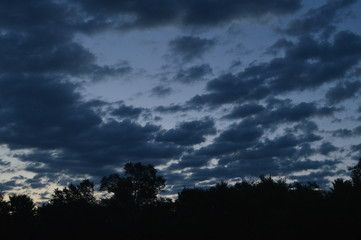 Obraz premium Morning