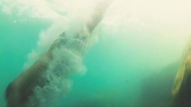 Buceo y nataci&oacute;n en el oc&eacute;ano al atardecer. Deporte submarino .Joven divirti&eacute;ndose buceando en el mar. Aventuras y entretenimiento en la playa con actividades en vacaciones 