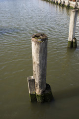 Hafenpoller