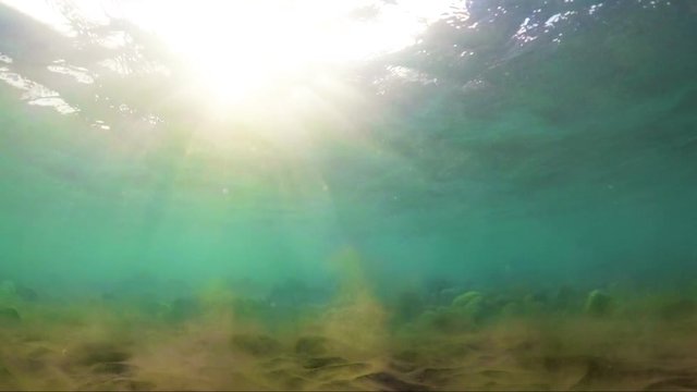 Fondo marino con rayos del sol a trav&eacute;s de las olas del mar.Imagen id&iacute;lica del fondo del oc&eacute;ano.