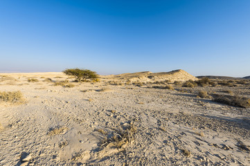 Desolate infinity in Israel
