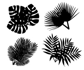 Black silhouette. Set of tropical leaves. Flat style palm leaf. Exotic plants icon. Vector illustration isolated on white background © Alfmaler