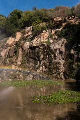 Fototapeta na wymiar Bunter Regenbogen an einem Teich auf Sardinien - Arbatax