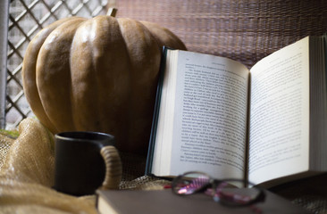 Autumn aesthetic (pumpkin)
