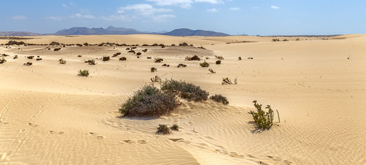 Corralejo Dunes with Volcanic Mountains in the Baclground in Fuerteventura, Canary Islands