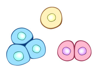 pink cell icon . skin cell . vector
