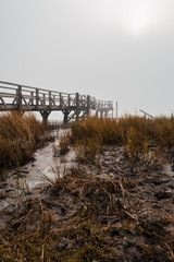 Schlick mit abdr&uuml;cken vor Steg im Nebel