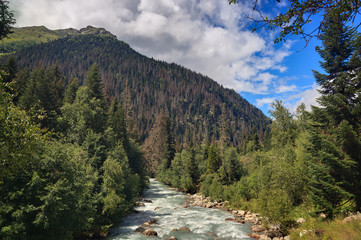 Obraz premium Mountain river with a rapid flow in the Caucasus Range ..