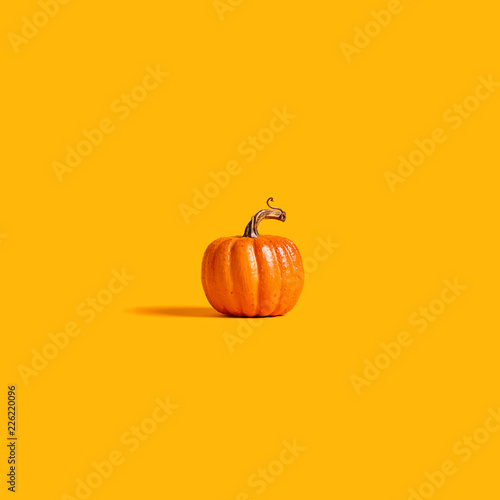 Autumn orange pumpkin on an orange background