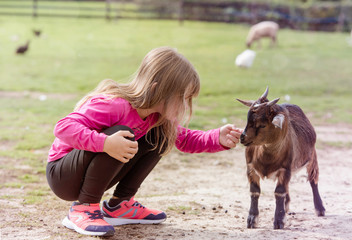 belle jeune fille en visite à la ferme