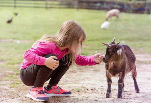 belle jeune fille en visite &agrave; la ferme