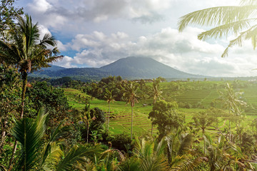 Fototapeta na wymiar Beautiful scenery at Jatiluwih rice terrace in Bali, Indonesia.
