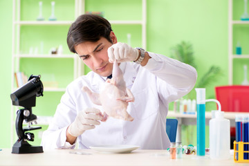 Lab assistant testing GMO chicken