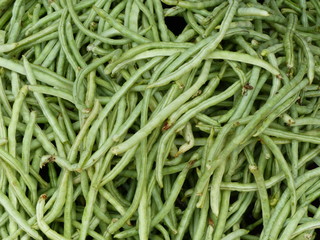 Haricots verts