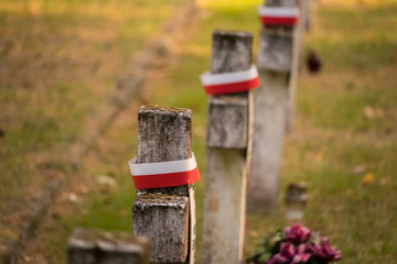 Graves of Polish soldiers, Kampinos National Park (Kampinoski Park Narodowy), Mazovia, Poland