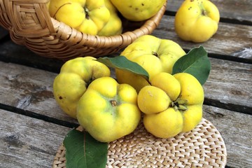 apfelquitten