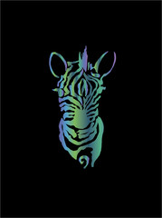 Color illustration of a african zebra. Drawing by hand