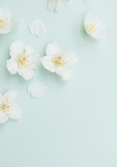 Beautiful spring blossom with white flowers on Turquoise blue shabby chic wooden background, top view.