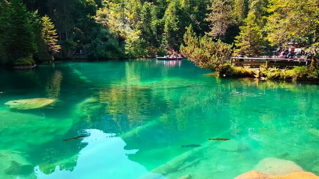 Peaceful shot of clear water with fish visible swimming in the water at Lake Blausee in Kandergrund, Switzerland