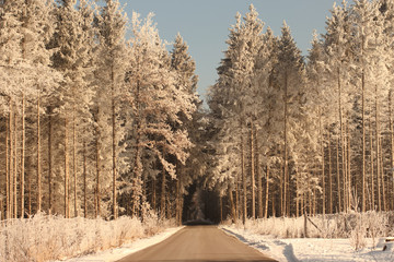 Obraz premium Winterwonderland