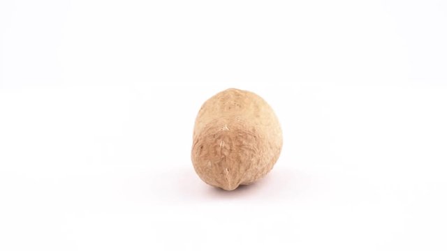 Single raw groundnut in the shell rotating on the turntable, isolated on white background. Close-up. Macro.