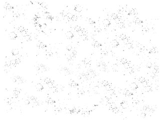 Grunge black and white background. Dust overlay distress grain , grungy effect, abstract, splattered , dirty.