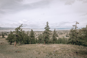 Mongolian landscapes in the Altai Mountains, wide landscape