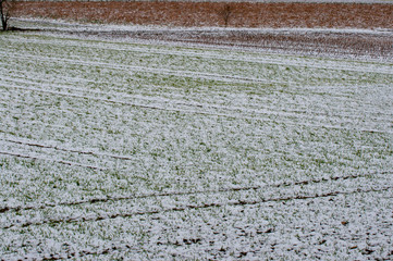 Erster Schneen auf den Feldern